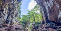 Sa Cova d’es Coloms